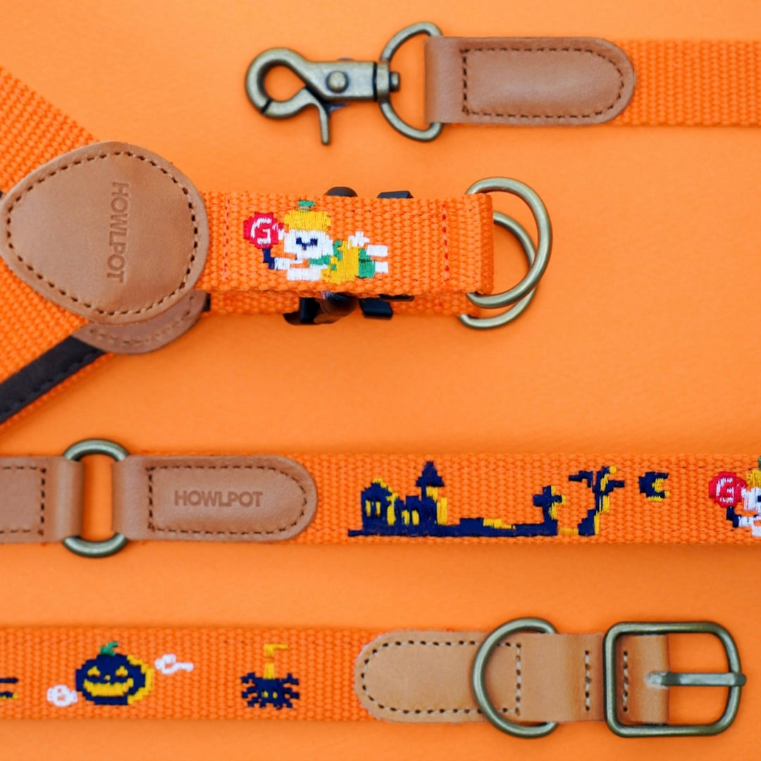 ※予約販売【HOWLPOT.】Adventure Collar（Halloween）