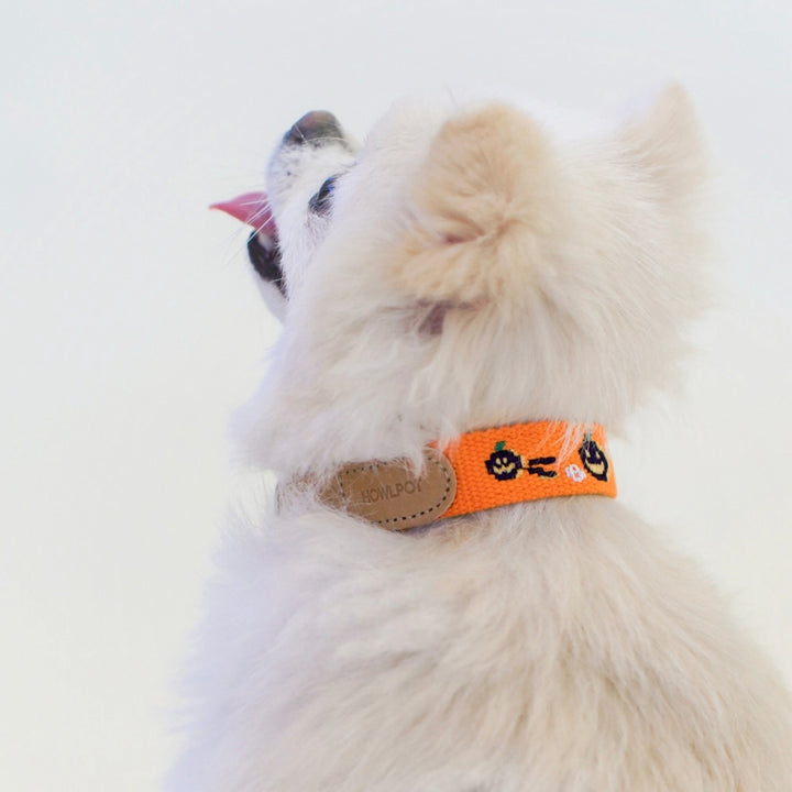 ※予約販売【HOWLPOT.】Adventure Collar（Halloween）