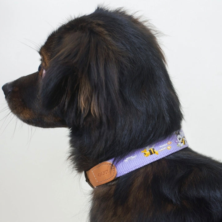 即納【HOWLPOT.】Adventure Collar（Lilac）