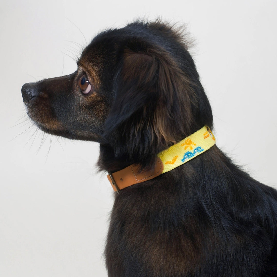 即納【HOWLPOT.】Adventure Collar（Vacance）