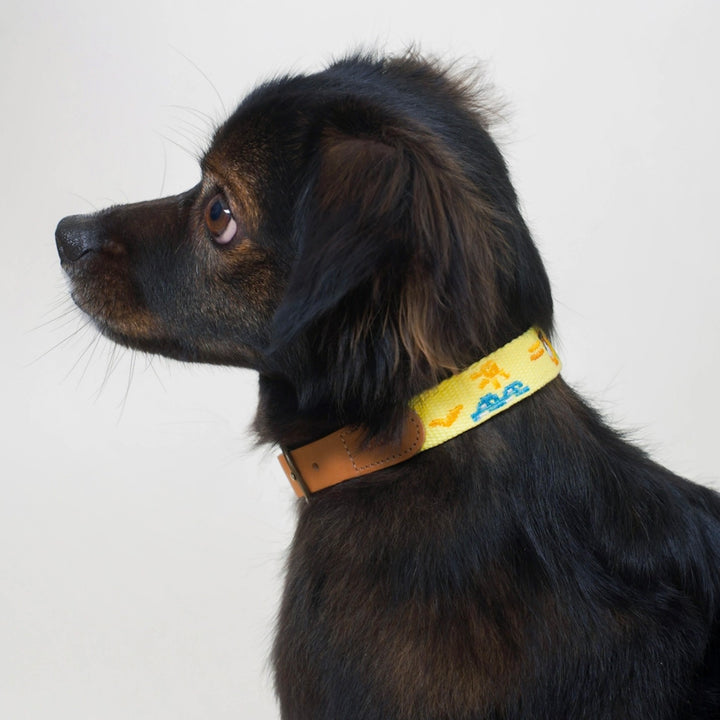 即納【HOWLPOT.】Adventure Collar（Vacance）