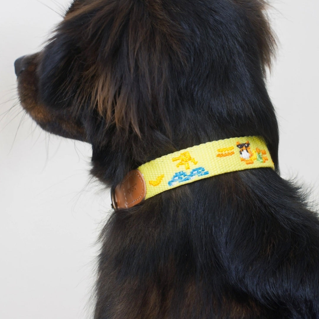 即納【HOWLPOT.】Adventure Collar（Vacance）