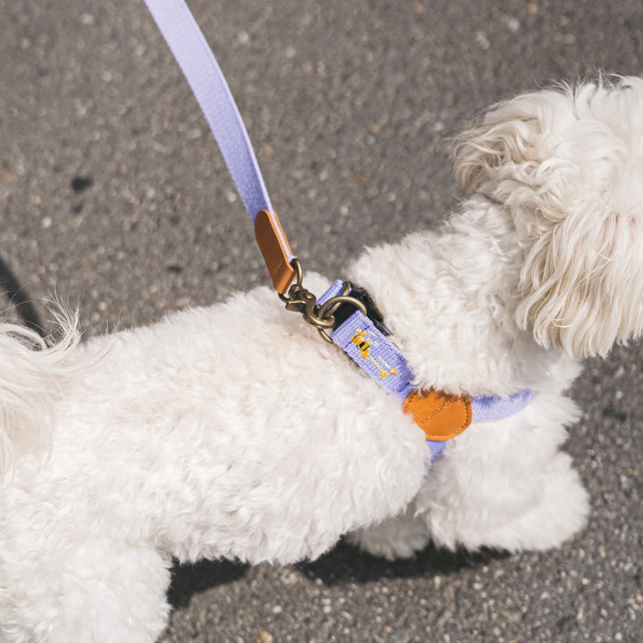 即納【HOWLPOT.】Adventure Harness（Lilac）