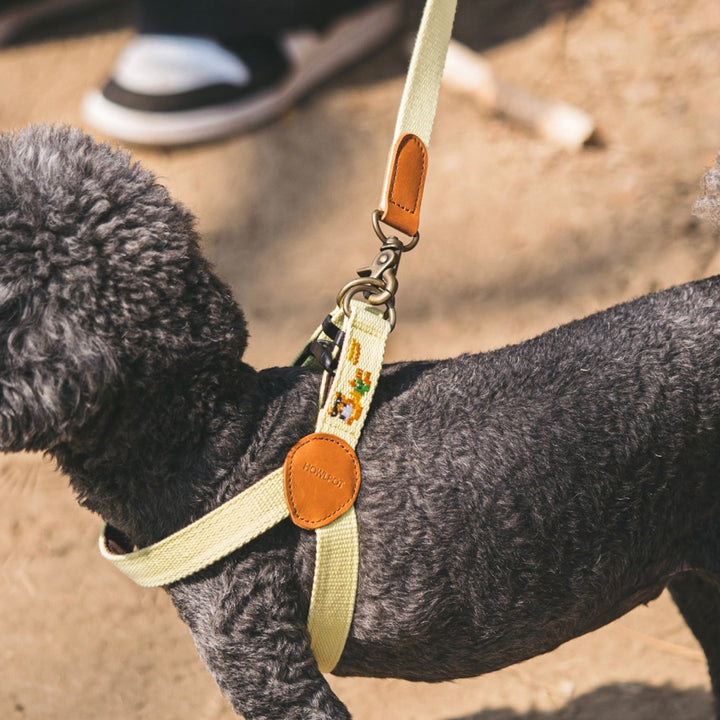 即納【HOWLPOT.】Adventure Harness（Vacance）