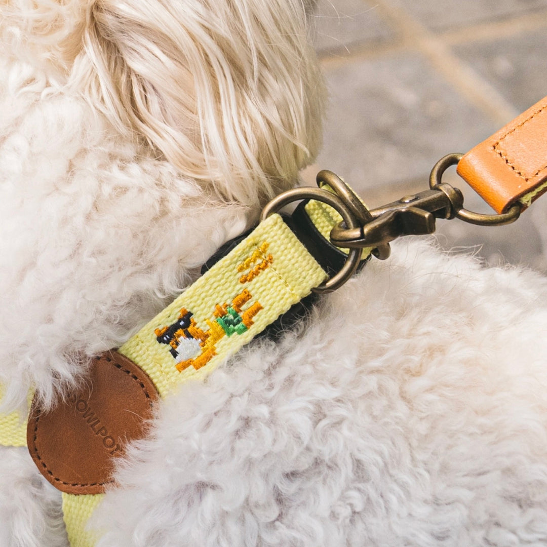 即納【HOWLPOT.】Adventure Harness（Vacance）