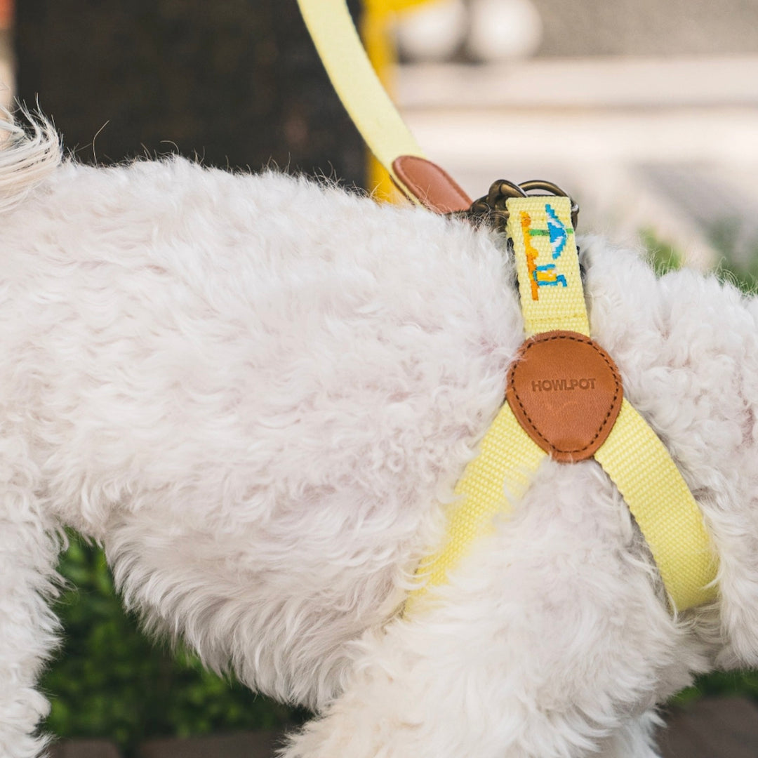 即納【HOWLPOT.】Adventure Harness（Vacance）