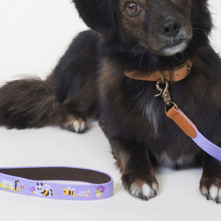 即納【HOWLPOT.】Adventure Leash（Lilac）