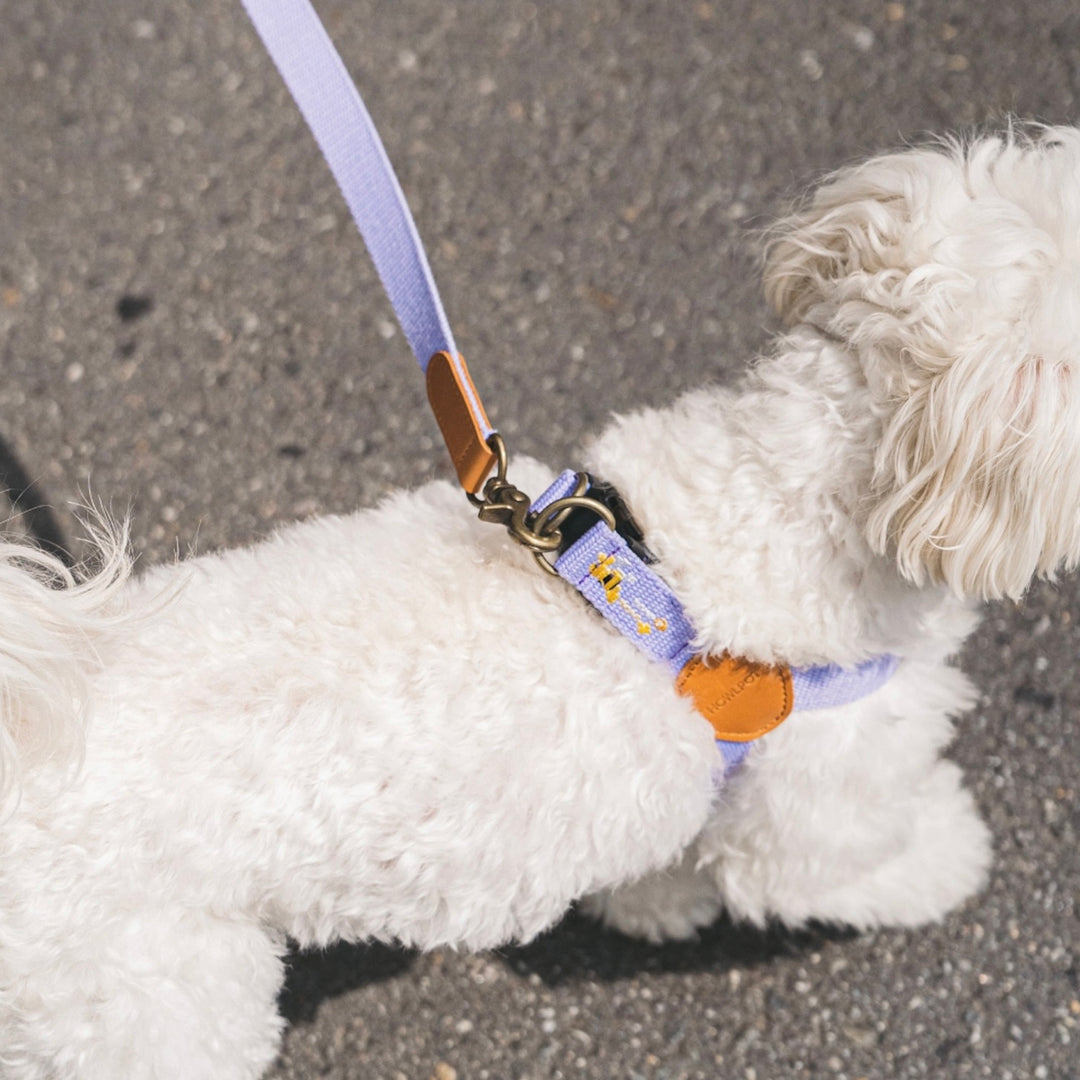 即納【HOWLPOT.】Adventure Leash（Lilac）