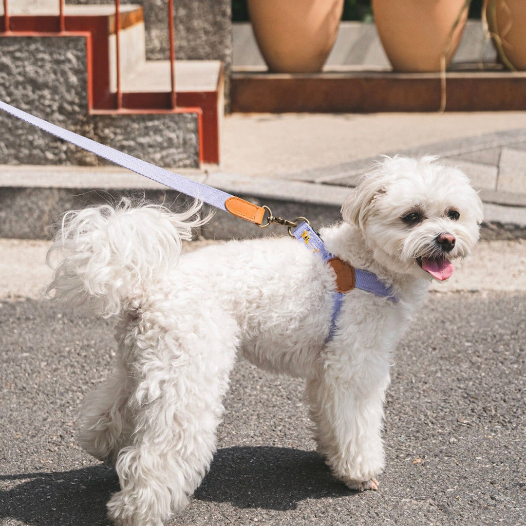 即納【HOWLPOT.】Adventure Leash（Lilac）