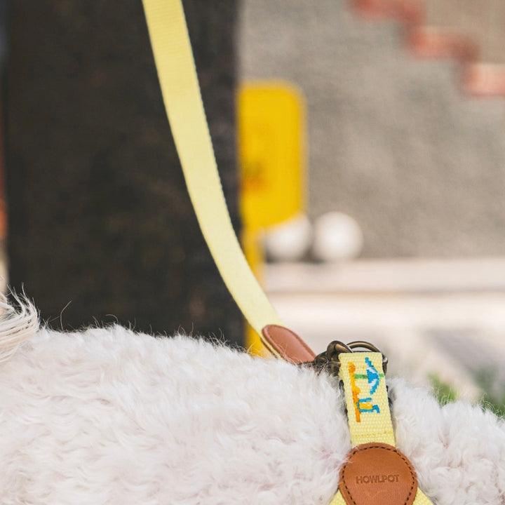 即納【HOWLPOT.】Adventure Leash（Vacance）