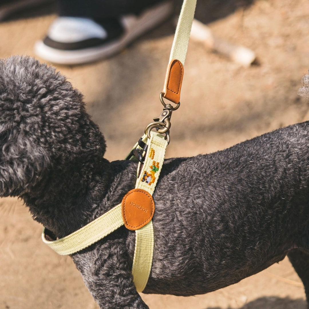 即納【HOWLPOT.】Adventure Leash（Vacance）