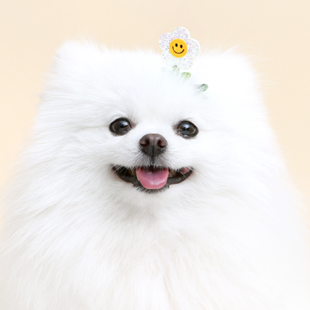 ※予約販売【ITS DOG】mini daisy hairpin