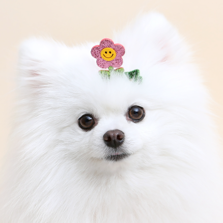 ※予約販売【ITS DOG】mini daisy hairpin