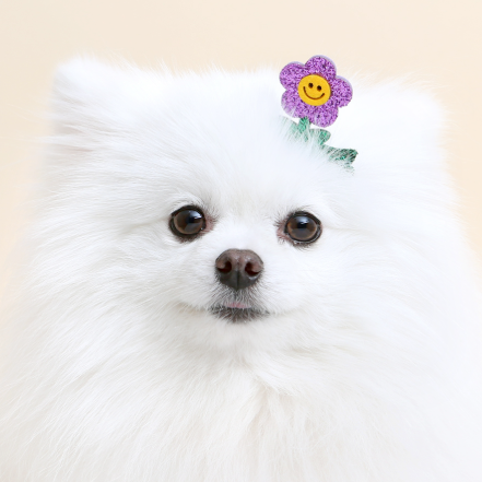 ※予約販売【ITS DOG】mini daisy hairpin