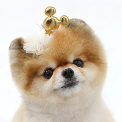 ※予約販売【ITS DOG】spring mouse hairpin