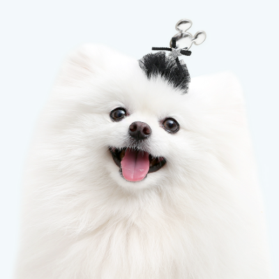 ※予約販売【ITS DOG】spring mouse hairpin