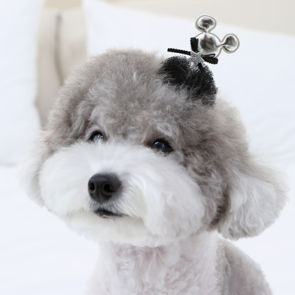 ※予約販売【ITS DOG】spring mouse hairpin