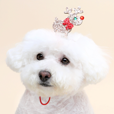 ※予約販売【ITS DOG】Shindolph Hairband