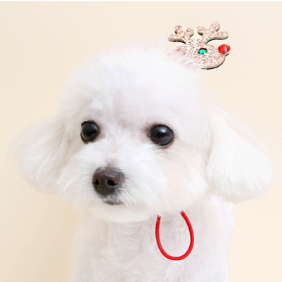 ※予約販売【ITS DOG】Shindolph Hairband