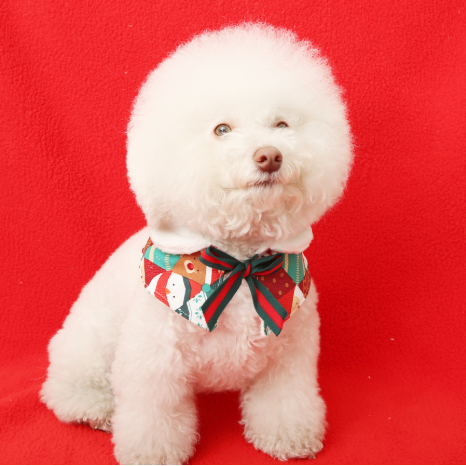 即納【ITS DOG】I'm Santa Cape