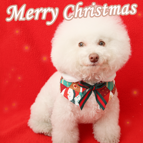 即納【ITS DOG】I'm Santa Cape