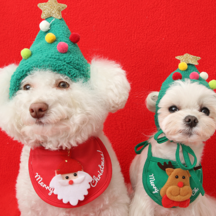 ※予約販売【ITS DOG】I'm tree pom pom hat