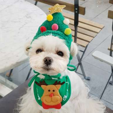 ※予約販売【ITS DOG】Christmas Dog Bibb (Rudolph)