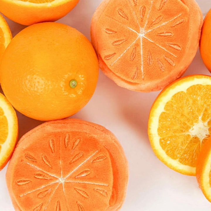 ※予約販売【HOWLPOT.】Howlgo Half Orange Toy（Nosework）