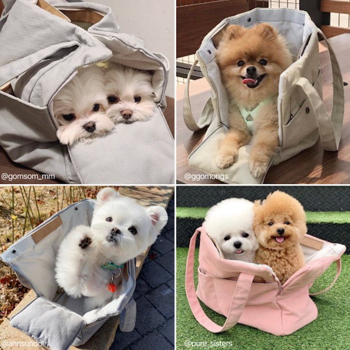 ※予約販売【HOWLPOT】Daybag（Clay）