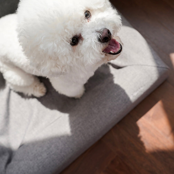 ※予約販売【HOWLPOT】Memory Foam（Night Grey）