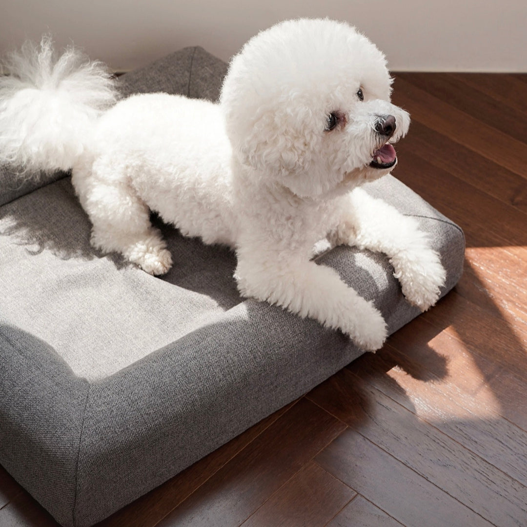 ※予約販売【HOWLPOT】Memory Foam（Night Grey）