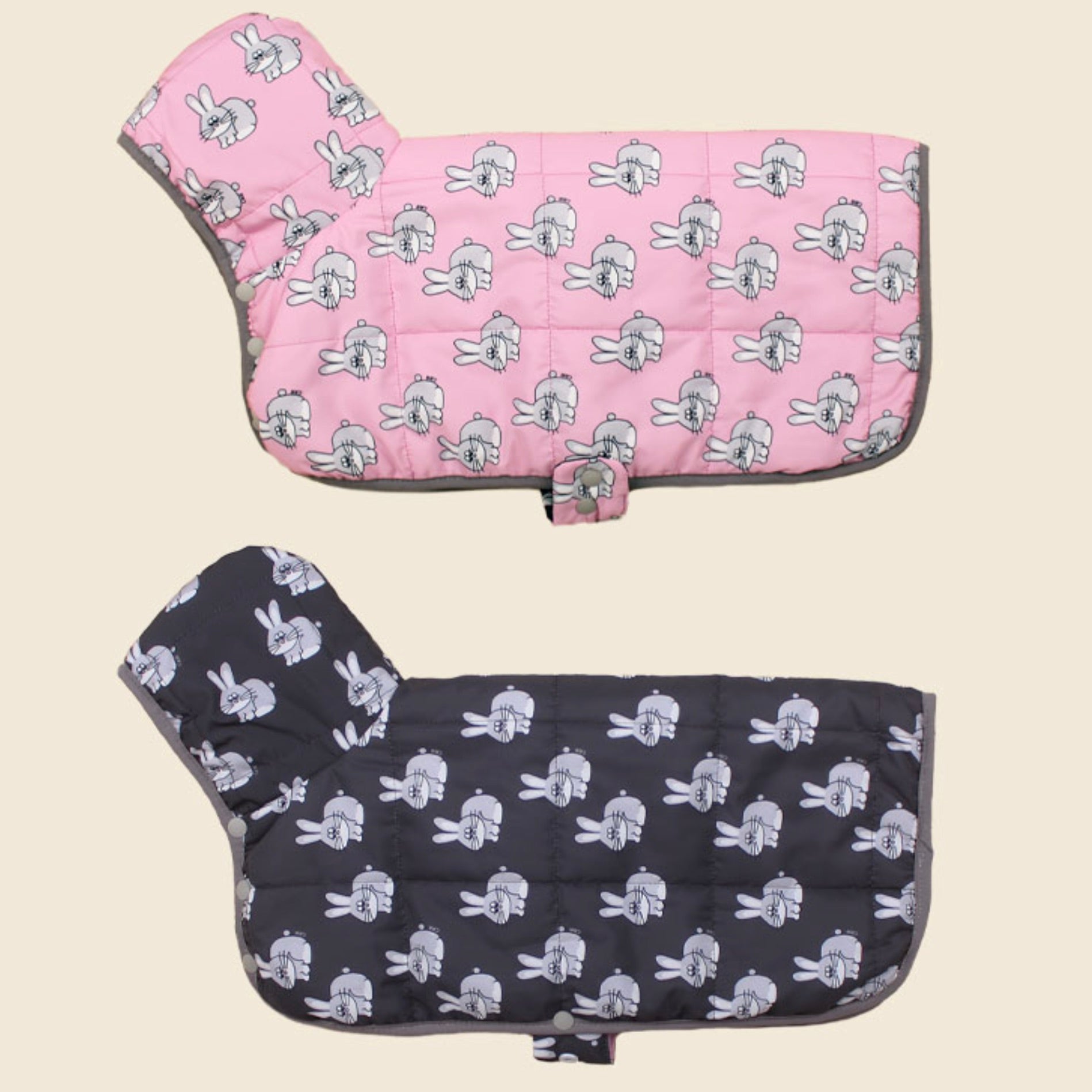 ライフスタイル・ホームグッズ – URBAN DOG TOKYO