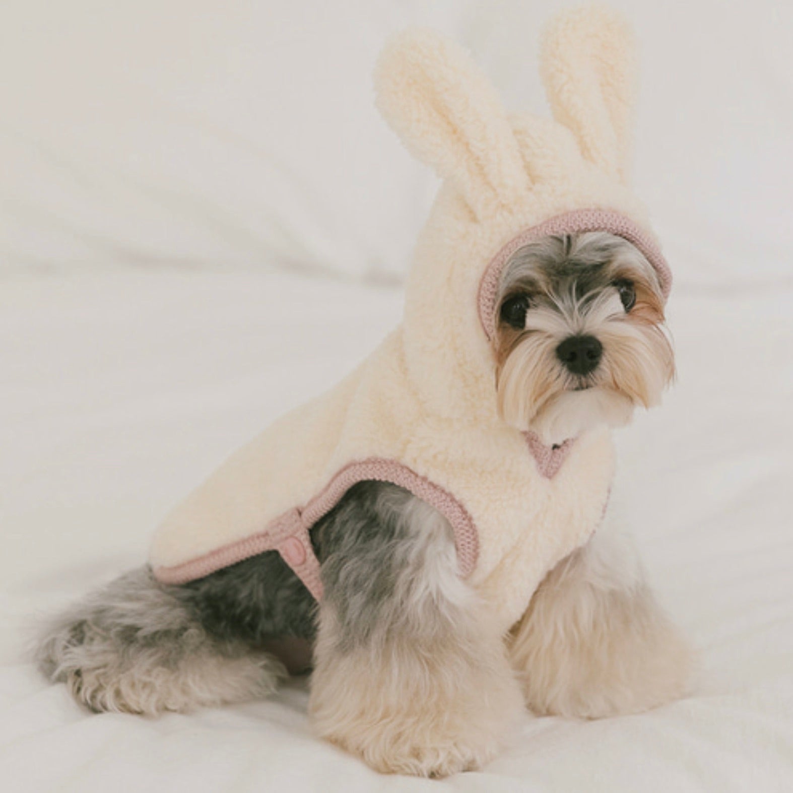 海外犬服 高品質なインポートのドッグウェア通販 