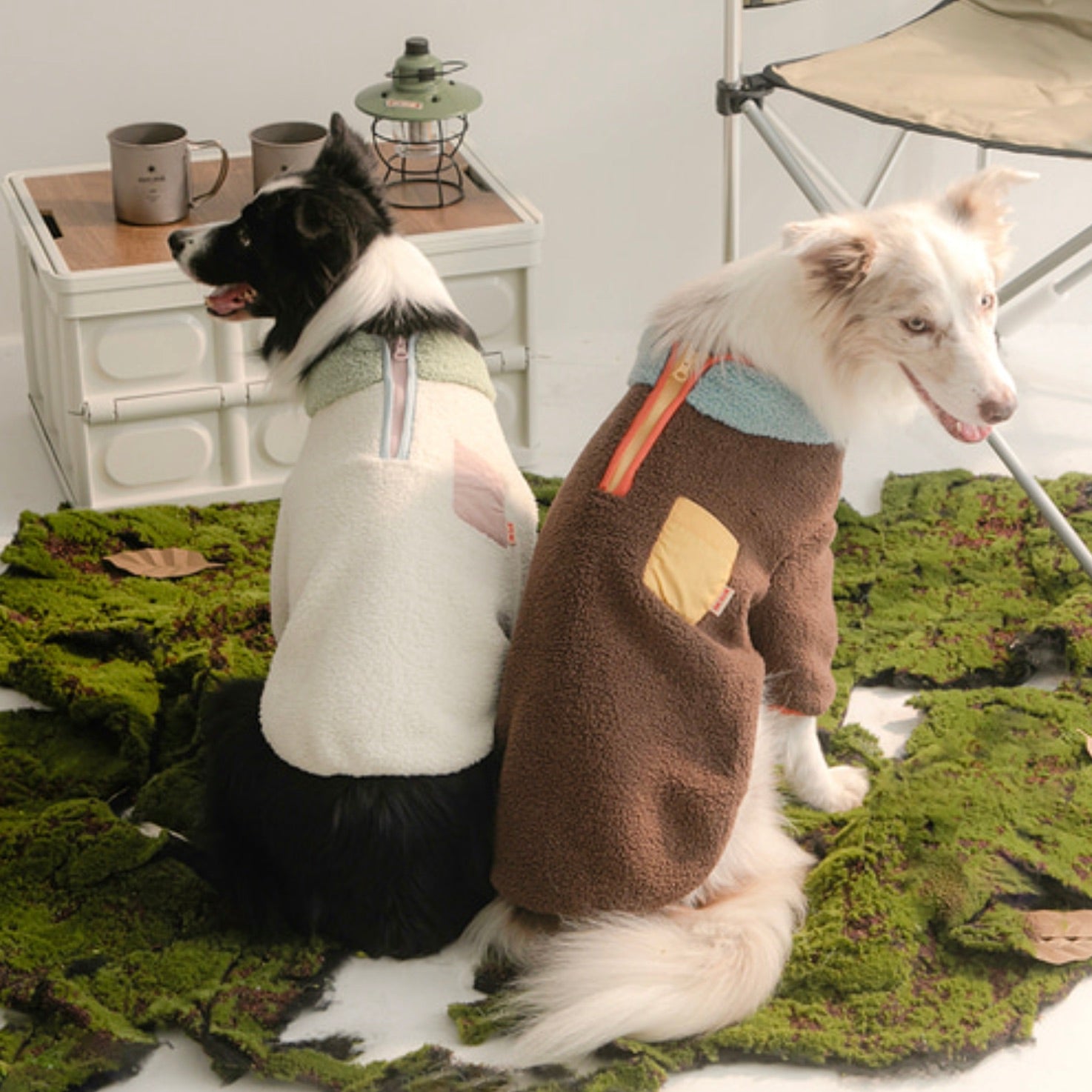 海外犬服 高品質なインポートのドッグウェア通販 