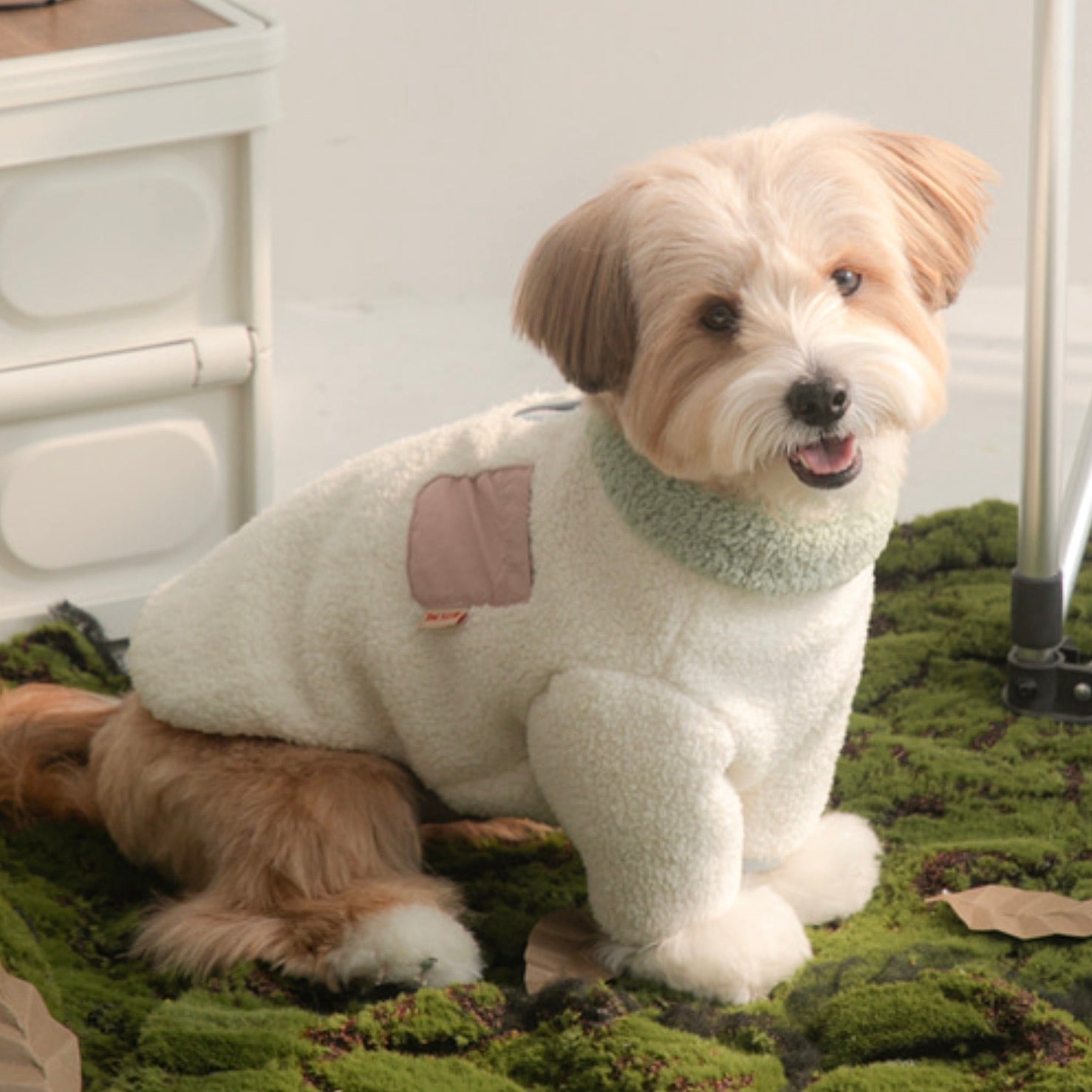 海外犬服 高品質なインポートのドッグウェア通販 