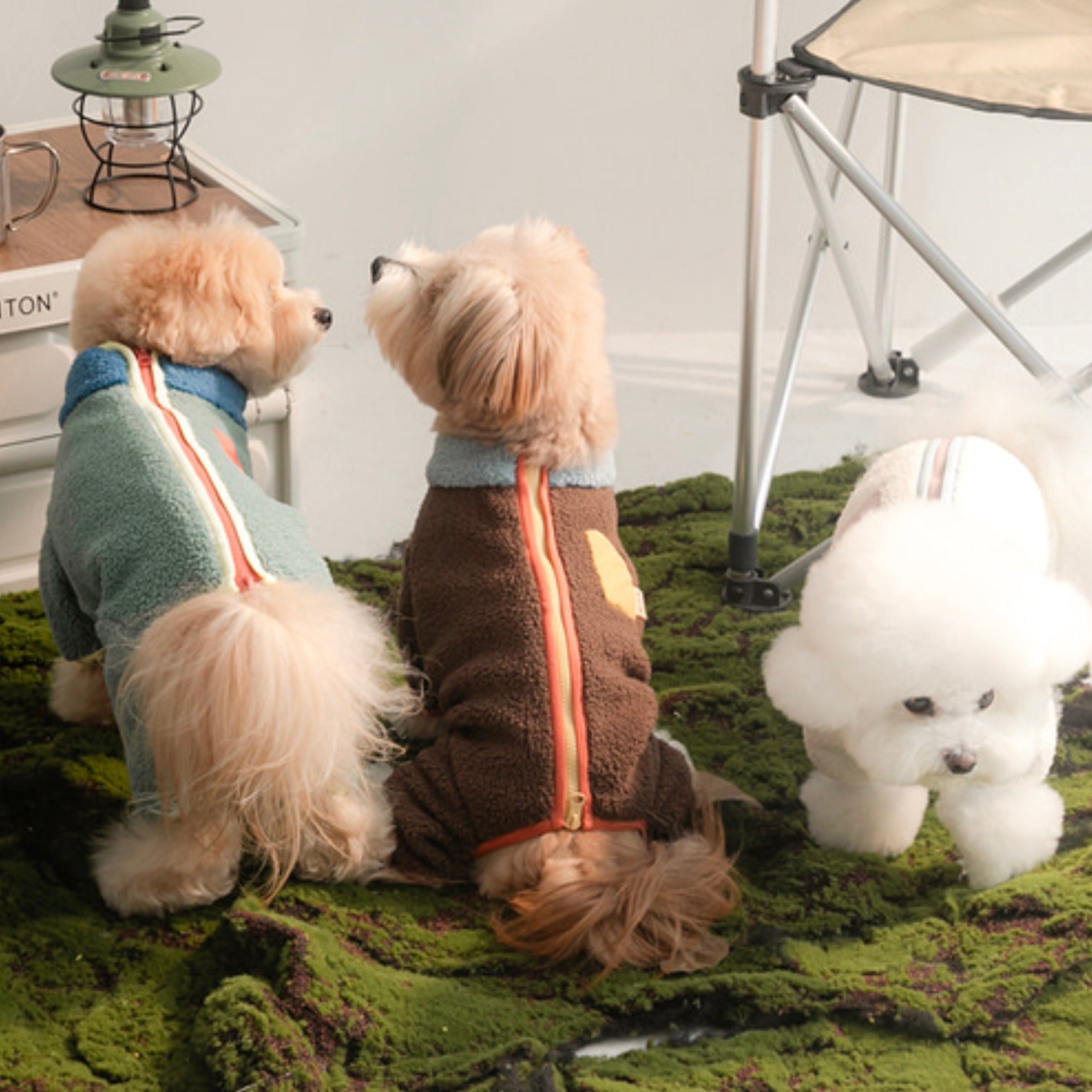 海外犬服 高品質なインポートのドッグウェア通販 