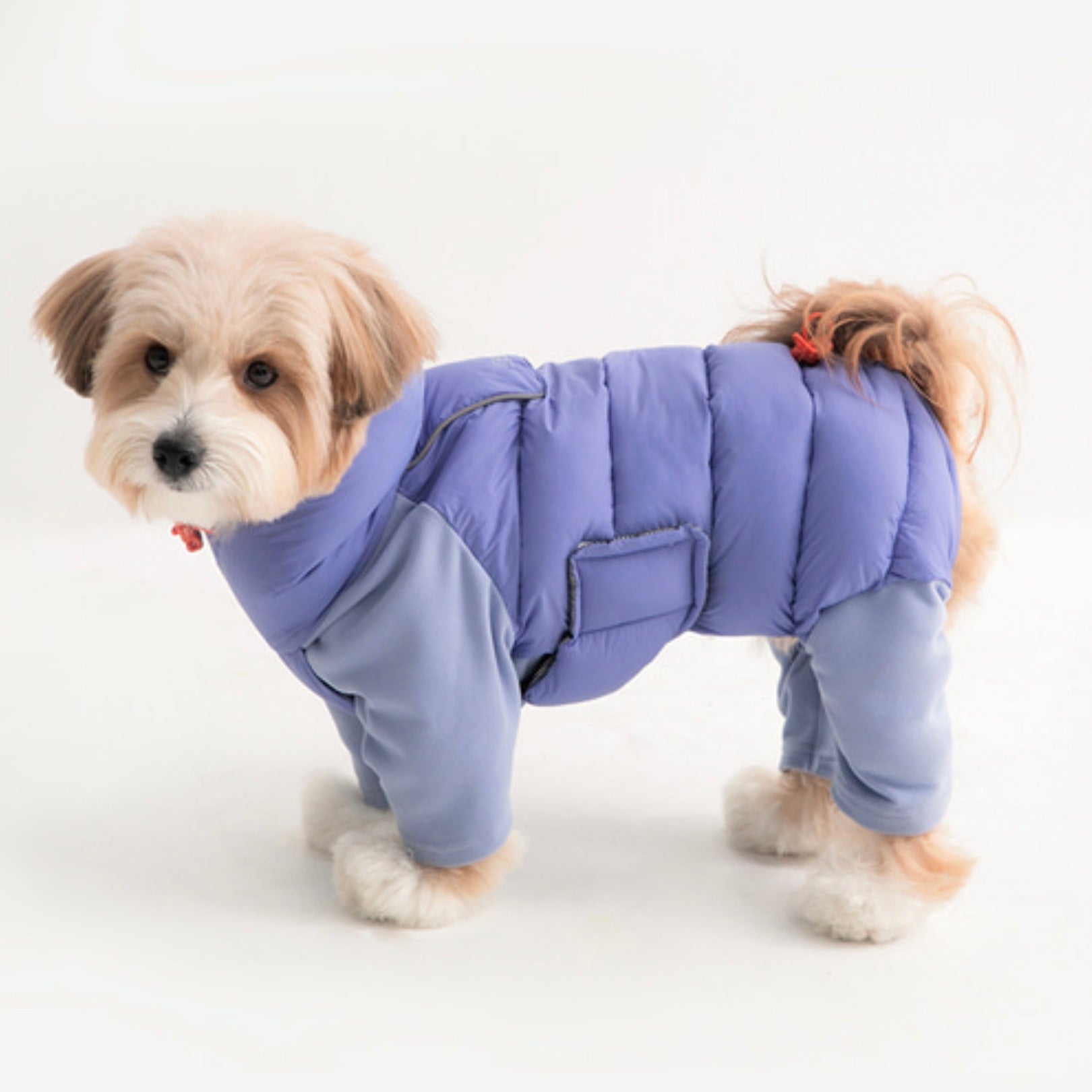 海外犬服 高品質なインポートのドッグウェア通販 