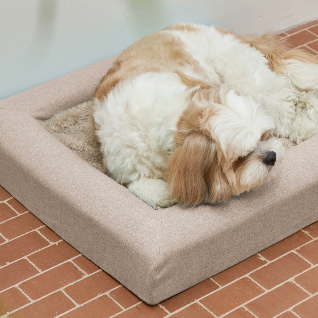 ※予約販売【HOWLPOT】Memory Foam（Night Grey）