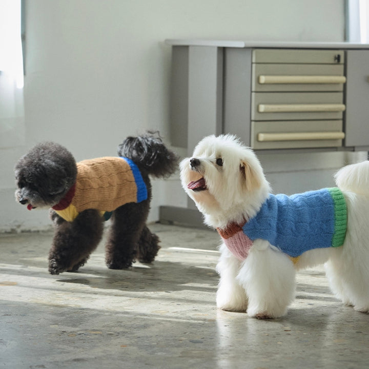 即納【andblank】Bebe Cable Wool 100% Knit（Melange Blue）