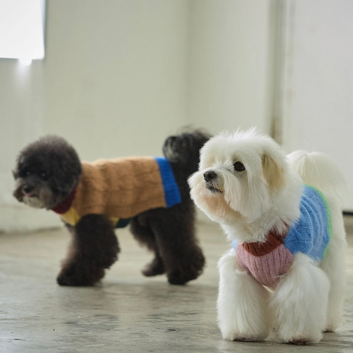 即納【andblank】Bebe Cable Wool 100% Knit（Mocha）