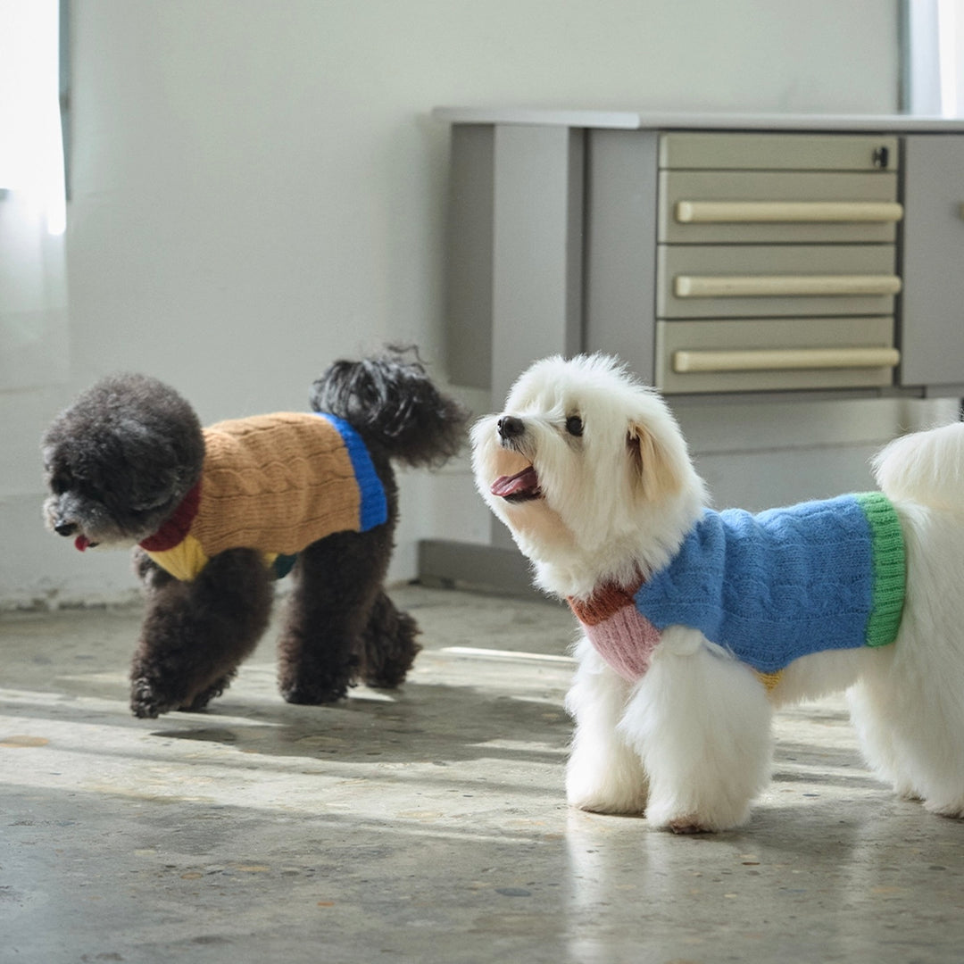 即納【andblank】Bebe Cable Wool 100% Knit（Mocha）