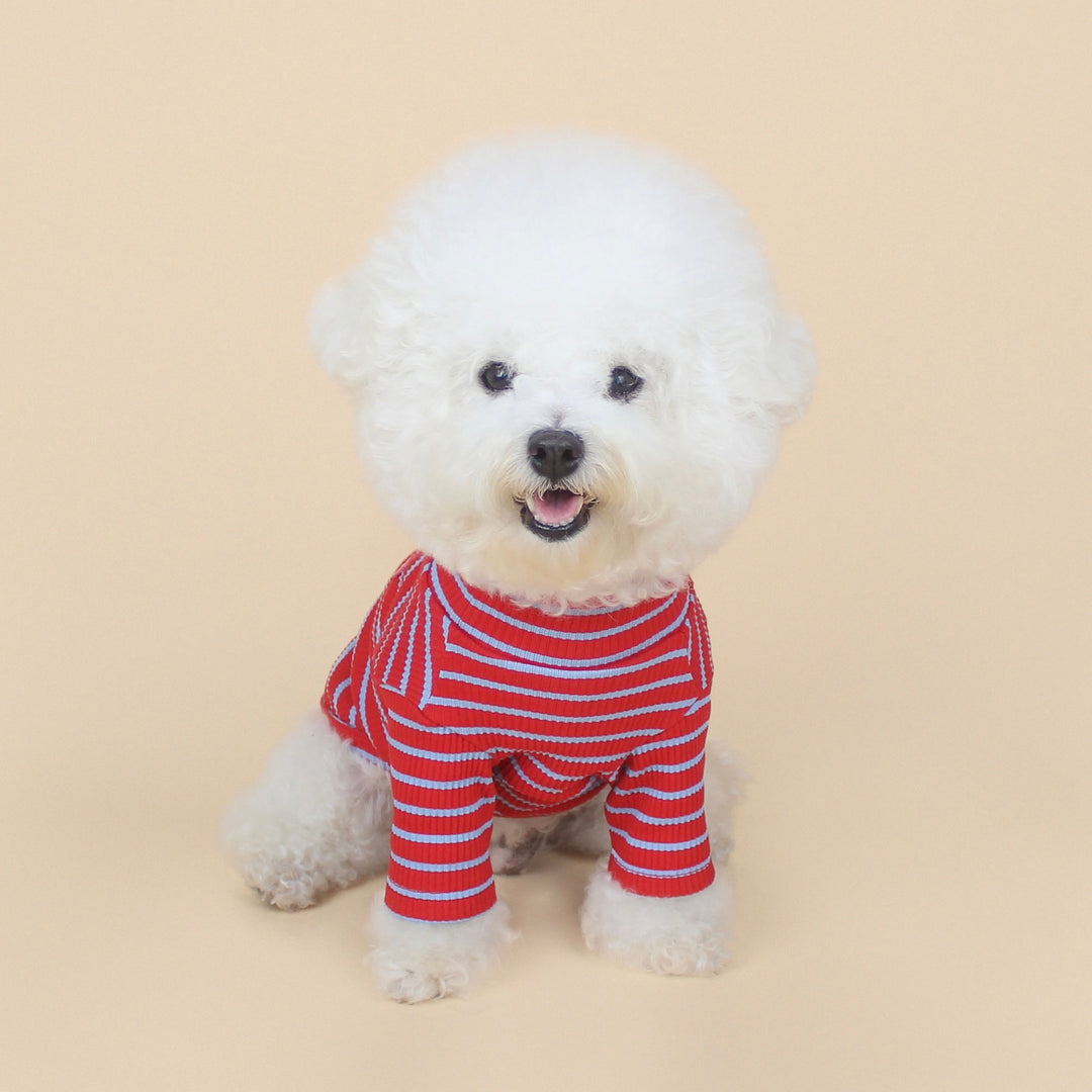 ※予約販売【CRR】Pop Stripe Polar Tee（Red）