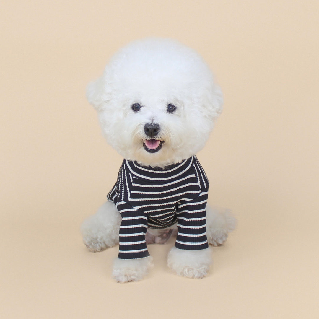 ※予約販売【CRR】Pop Stripe Polar Tee（Black）