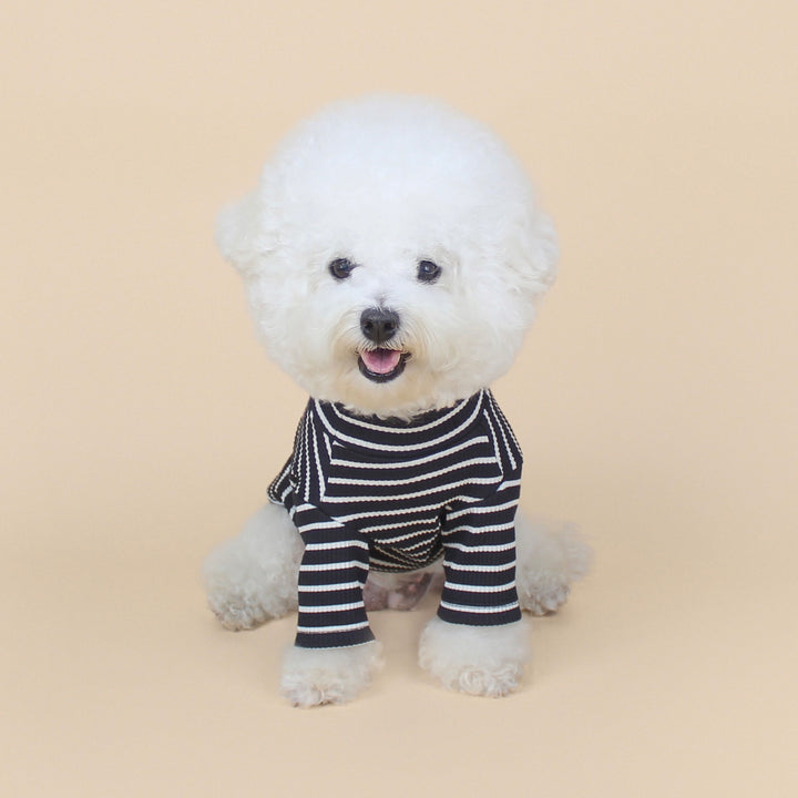 ※予約販売【CRR】Pop Stripe Polar Tee（Black）