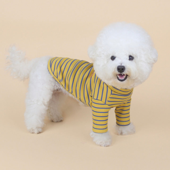 ※予約販売【CRR】Pop Stripe Polar Tee（Yellow）