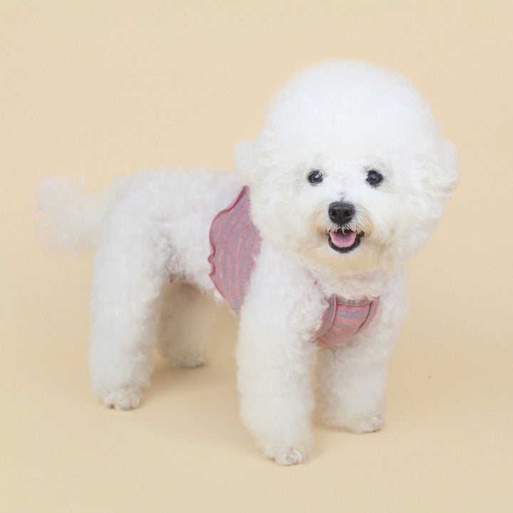 ※予約販売【CRR】Layered Crop Bustier（Rose）