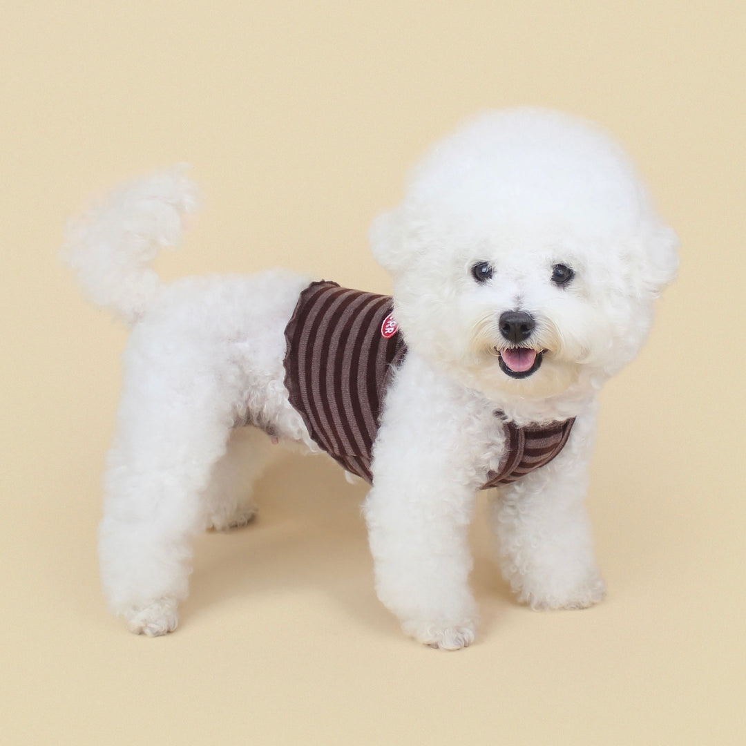 ※予約販売【CRR】Layered Crop Bustier（Cocoa）