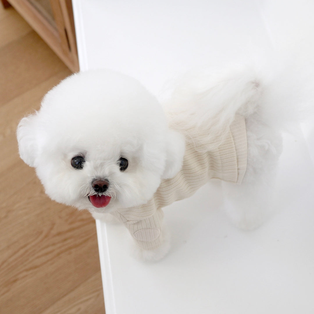 ※予約販売【near by us】Layered knit top（Butter）