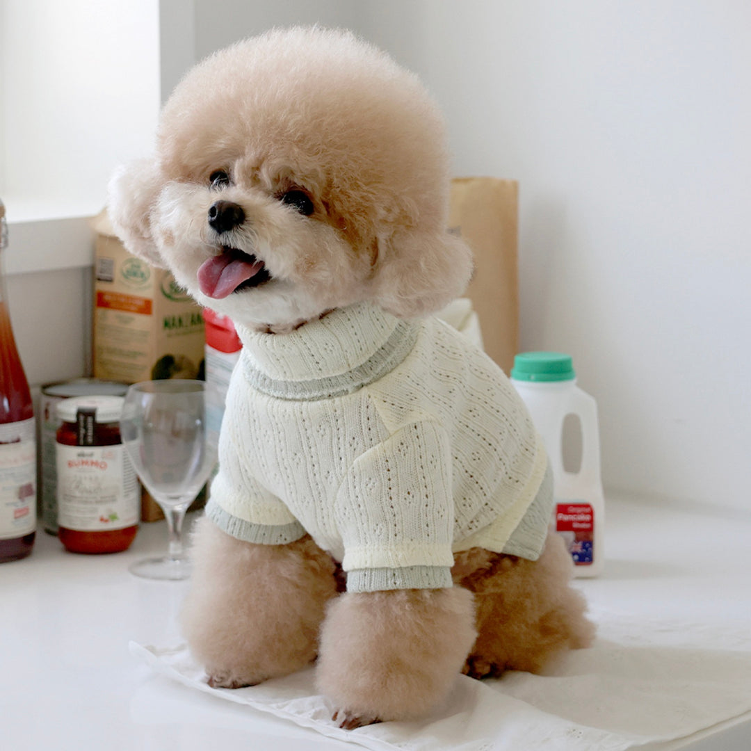 ※予約販売【near by us】Pointelle knit top（Greentea lemon）