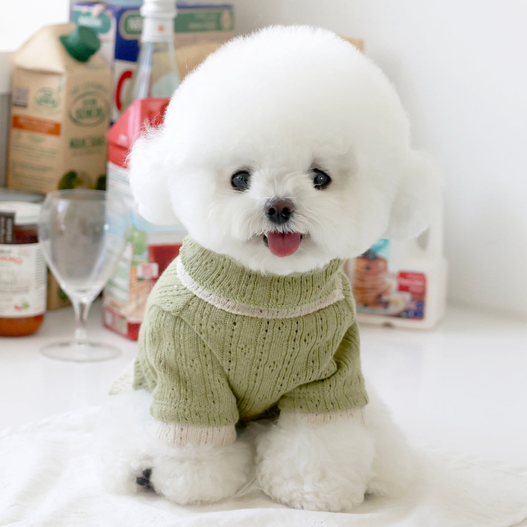 ※予約販売【near by us】Pointelle knit top（Oat matcha）